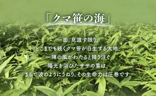 ギョーザ 冷凍餃子 焼餃子 おかず おつまみ 惣菜 天心 お取り寄せ ぎょうざ 
