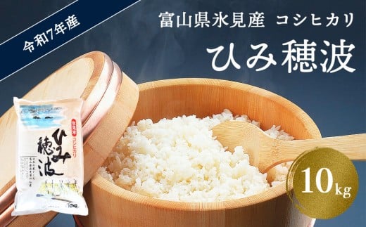 令和7年産 富山県氷見産 コシヒカリ 白米[ひみ穂波] 10kg [2025年10月上旬以降順次発送]