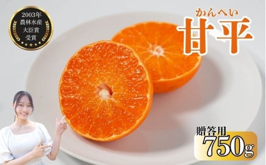 数量限定 贈答用 甘平 約750g みかん 蜜柑 柑橘 果物 フルーツ 高級 人気 糖度 ビタミン 健康 美容 ブランド 国産 減農薬 除草剤不使用 有機肥料使用 プレゼント 贈答 ギフト 愛媛県 愛南町 吉本農園 送料無料 発送期間:2026年2月〜なくなり次第