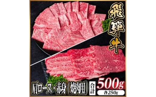 レビューキャンペーン実施中!飛騨牛　厳選肩ロース・赤身(焼肉・BBQ用)500g　A4～A5　小分け【1667149】