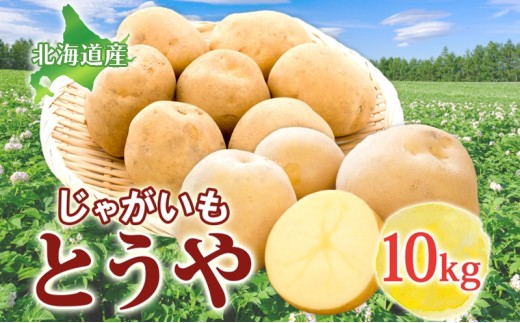 じゃがいも とうや 10kg 2025年9月上旬～12月中旬までお届け ジャガイモ 芋 甘い ホクホク なめらか ポテト カレー 調理 料理 煮込み料理 旬 野菜 お取り寄せ 北海道 洞爺湖町	
