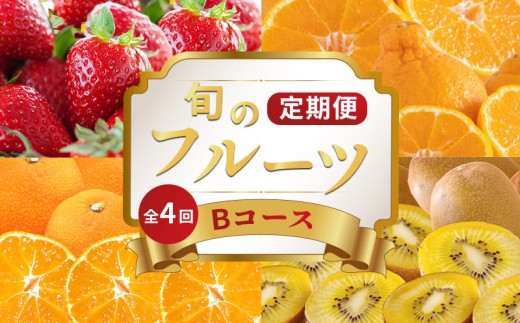 旬のフルーツ 定期便 4回 Bコース 果物 フルーツ いちご 苺 キウイ さぬきゴールド ゴールドキウイ 小原紅早生みかん みかん デコポン 不知火 柑橘 蜜柑 スイーツ デザート ケーキ ゼリー ジュース ジャム アイス ジェラート フルーツ大福 クレープ ふるさと納税定期便 ふるさと納税フルーツ ギフト 贈答 送料無料 ふるさと納税 香川県 丸亀市