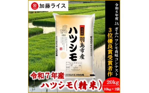 令和7年産 岐阜県羽島市産ハツシモ 精米20kg(10kg×2袋)【1669151】