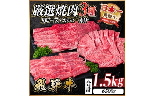 レビューキャンペーン実施中!飛騨牛　厳選焼肉3種(肩ロース・カルビ・赤身)1.5kg(各500g)【1668600】