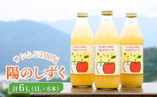 りんごジュース(ふじ) ストレート果汁100% 1000ml×6本 ストレートジュース 信州りんごジュース フレッシュジュース 千曲市 長野県 信州 2037797 - 長野県千曲市