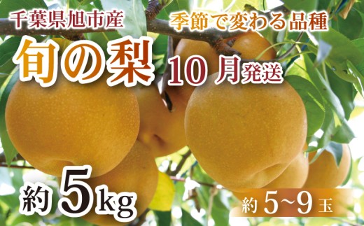 [ 先行予約 ] [ 2025年 10月発送 ] 梨 旬の梨 約 5kg 幸水 豊水 あきづき にっこり 等 約 5 〜 9玉 梨 なし 旬 千葉 千葉県産 みずみずしい 糖度 甘み 甘い くだもの 果物 フルーツ ふるさと納税 産地 産地直送 送料無料 千葉県 旭市 旭市産 まる吉園