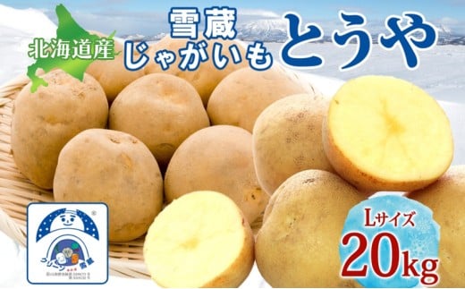 雪蔵じゃがいも 20kg とうやＬサイズ 2026年3月上旬～3月末までお届け ジャガイモ 芋 甘い なめらか しっとり ポタージュ カレー 調理 料理 煮込み料理 雪蔵 旬 季節 農作物 野菜 根菜 北海道 洞爺湖町 