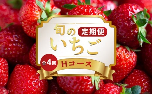 いちごの定期便 4回 Hコース 果物 フルーツ いちご 苺 さぬきひめ スイーツ デザート ケーキ ゼリー ジュース ジェラート アイス いちご大福 フルーツ大福 ジャム クレープ ショートケーキ タルト ふるさと納税定期便 ふるさと納税フルーツ ギフト 贈答 送料無料 ふるさと納税 香川県 丸亀市