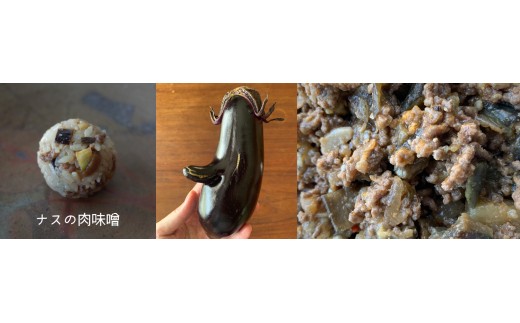 ナスの肉味噌