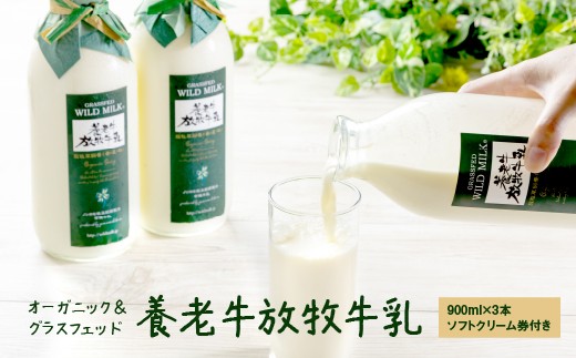 オーガニック＆グラスフェッド養老牛放牧牛乳900ml×3本 《ソフトクリーム券付き》 | グラスフェッド 牛乳 牛乳瓶 有機JAS認証 低温殺菌 乳製品 健康志向 安心 安全 栄養豊富 化学肥料不使用 輸入穀物不使用 お取り寄せ 北海道 中標津町 中標津【1300101】