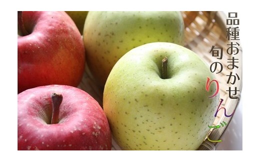 【2025年先行予約】樹上完熟葉とらずりんご（季節のりんご）5kg（10月上旬～1月中旬まで順次発送）|  りんご ふじ シナノスイート 秋映 陽光 シナノゴールド こうみつ 名月 季節 フルーツ 旬 ふるさと納税 宮城県 白石市【1211302】 688462 - 宮城県白石市