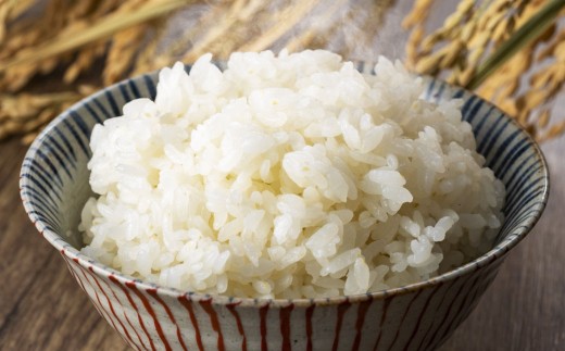 令和7年産 深川産 ななつぼし 10kg （5kg×2袋） 【2025年10月上旬～2026年4月下旬発送予定】 お米 米 こめ 白米 精米 単一原料米 ごはん ご飯 ふるさと納税米 国産 2296174 - 北海道深川市