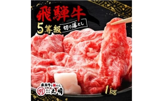 飛騨牛5等級　切り落とし用途いろいろ　1kg【1668213】 2295883 - 岐阜県養老町