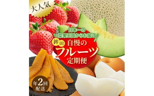【フルーツ年2回定期便】＼日本一の菜果王国からお届け／自慢のフルーツ定期便！ 1~4月発送 ７~10月発送 いちご メロン フルーツ 定期便 2回 いちご 苺 イチゴ メロン 果物 くだもの 果実 数量限定 ギフト 詰め合わせ 贈答 セット 季節 旬 鉾田市 茨城県 産地直送 送料無料 2300759 - 茨城県鉾田市