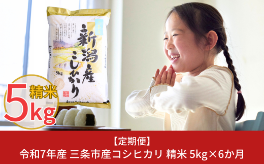 新米 先行予約 [定期便5kg×6か月] 令和7年産 新潟県三条市産コシヒカリ  計30kg 新米 こしひかり 6か月連続でお届け [株式会社白熊]【038S007】 868497 - 新潟県三条市