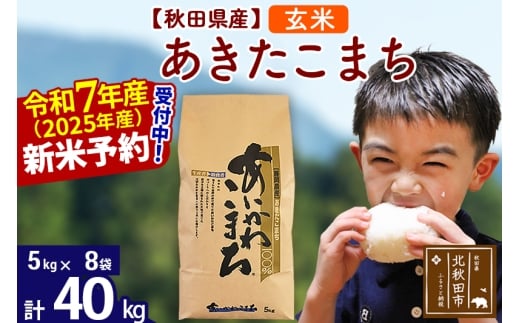 ※令和7年産 新米予約※秋田県産 あきたこまち 40kg【玄米】(5kg小分け袋) 【1回のみお届け】2025年産 お届け時期選べる お米 藤岡農産