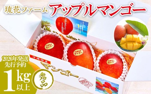 【2026年発送先行予約】アップルマンゴー秀品1kg以上 沖縄 おきなわ まんごー 秀品 贈答用 先行予約 ふるさと納税 送料無料 甘味 糖度 おいしい お土産 アーウィン 果物 くだもの 果実 1キロ 箱入り 食べ物 フルーツ 809503 - 沖縄県名護市