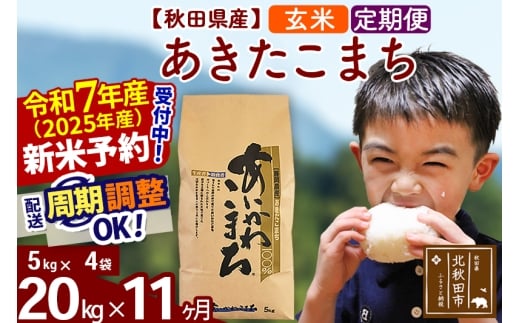 ※令和7年産 新米予約※《定期便11ヶ月》秋田県産 あきたこまち 20kg【玄米】(5kg小分け袋) 2025年産 お届け時期選べる お届け周期調整可能 隔月に調整OK お米 藤岡農産