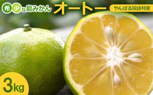 ＜2025年10月から順次発送＞やんばる国頭村産 希少な島みかん「オートー」3kg【1662091】 2269379 - 沖縄県国頭村