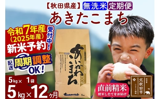 ※令和7年産 新米予約※《定期便12ヶ月》秋田県産 あきたこまち 5kg【無洗米】(5kg小分け袋) 2025年産 お届け時期選べる お届け周期調整可能 隔月に調整OK お米 藤岡農産