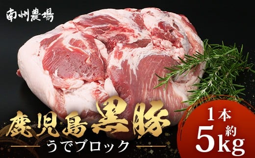 【南大隅町限定】かごしま黒豚 うでブロック（約5.0kg） NS-4 | 肉 豚肉 ぶた 豚 ブタ 黒豚 かごしま黒豚 うで ブロック 新鮮 産地直送 限定 鹿児島県 南大隅町 南州農場 2289429 - 鹿児島県南大隅町