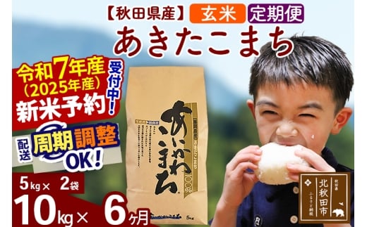 ※令和7年産 新米予約※《定期便6ヶ月》秋田県産 あきたこまち 10kg【玄米】(5kg小分け袋) 2025年産 お届け時期選べる お届け周期調整可能 隔月に調整OK お米 藤岡農産