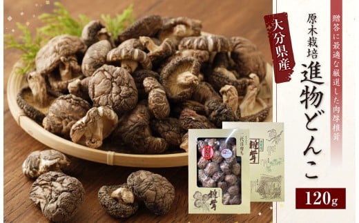 015-692x1 大分県産 椎茸 進物 どんこ 120g 乾燥椎茸 きのこ 茸 2307172 - 大分県豊後大野市
