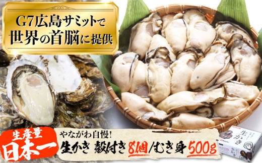 広島G7で提供された牡蠣![生牡蠣][着日指定可能]やながわ自慢! 牡蠣 むき身500g/殻付き8個 かき 海鮮 和食 海産物 簡単 レシピ 広島県産 江田島市/マルサ・やながわ水産有限会社 