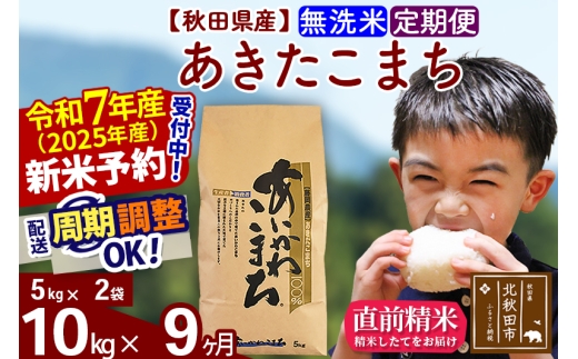 ※令和7年産 新米予約※《定期便9ヶ月》秋田県産 あきたこまち 10kg【無洗米】(5kg小分け袋) 2025年産 お届け時期選べる お届け周期調整可能 隔月に調整OK お米 藤岡農産