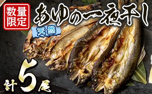 久慈川産 天然あゆの一夜干し 鮎 あゆ アユ 魚 魚介 川魚 一夜干し 冷凍 【木村信次商店/丸信ドライブイン】【ho1551】