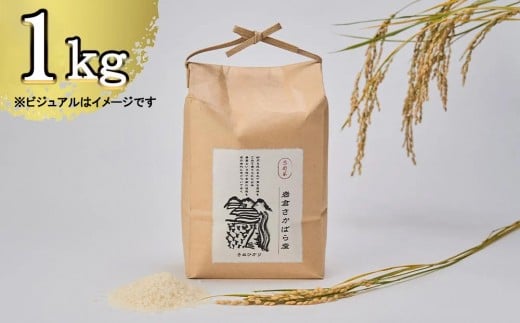【京都岩倉坂原米作りプロジェクト】〈新米〉京都岩倉さかばら産 きぬひかり(1kg)［ 京都 グルメ おいしい 人気 おすすめ 米 コメ ギフト プレゼント 贈答 お取り寄せ 通販 送料無料 ふるさと納税 ］ 2296202 - 京都府京都市