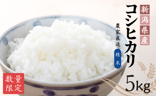 【農家直送】 令和7年産新米 出雲崎町産コシヒカリ（５kg）直播栽培 お米 新潟県産コシヒカリ こしひかり おこめ コメ 白米 精米 2304316 - 新潟県出雲崎町