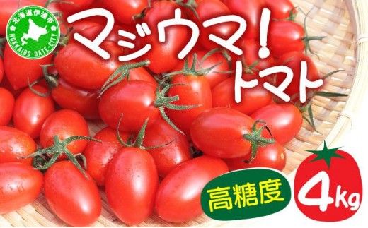 【2026年先行予約】北海道 伊達 岡本園芸 ミニトマト 高糖度 約4kg【マジウマ！トマト】 2281771 - 北海道伊達市