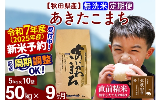※令和7年産 新米予約※《定期便9ヶ月》秋田県産 あきたこまち 50kg【無洗米】(5kg小分け袋) 2025年産 お届け時期選べる お届け周期調整可能 隔月に調整OK お米 藤岡農産
