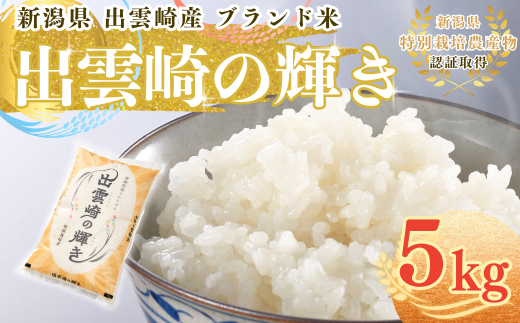 【令和7年産新米】  特別栽培米 コシヒカリ 「出雲崎の輝き」 5㎏ 新潟県産 出雲崎町産 ブランド米 白米 精米 お米 こしひかり 2302740 - 新潟県出雲崎町