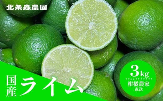 さわやか果実  ライム 約3kg  | ライム みかん 柑橘 国産ライム ジュース カクテル スイーツ サラダ 愛媛 松山 北条 果物 フルーツ 産地直送