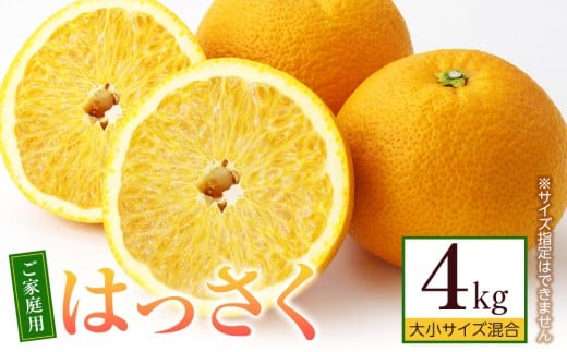 ご家庭用 はっさく約4kg 大小サイズ 混合