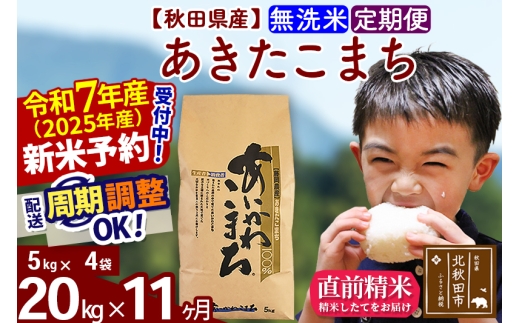※令和7年産 新米予約※《定期便11ヶ月》秋田県産 あきたこまち 20kg【無洗米】(5kg小分け袋) 2025年産 お届け時期選べる お届け周期調整可能 隔月に調整OK お米 藤岡農産