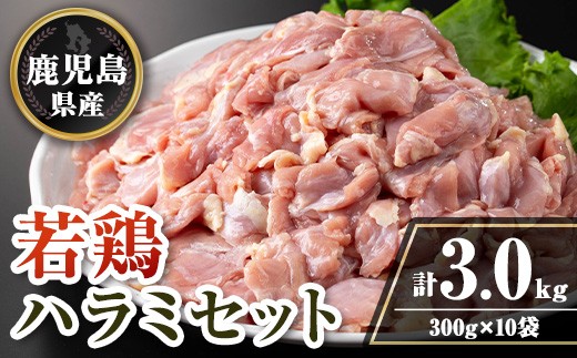isa716 鹿児島県産若鶏ハラミセット(計3kg・300g×10P) 鹿児島県産 国産 鶏肉 鳥肉 とり肉 ハラミ 希少部位 炭火焼き 焼肉 BBQ 炒め料理 おつまみ 真空 小分け 【TRINITY】 2316494 - 鹿児島県伊佐市