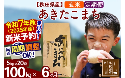 ※令和7年産 新米予約※《定期便6ヶ月》秋田県産 あきたこまち 100kg【玄米】(5kg小分け袋) 2025年産 お届け時期選べる お届け周期調整可能 隔月に調整OK お米 藤岡農産