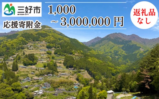 【 返礼品なし 400,000円 】 徳島県 三好市 への 寄附 応援寄附金 2308479 - 徳島県三好市