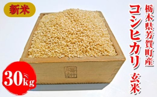 令和7年産新米 栃木県芳賀町産 コシヒカリ 玄米 30kg｜米 お米 新米 コメ こめ 国産 産地直送 旬 期間限定 季節限定 送料無料 ※2025年9月下旬頃～2026年1月下旬頃に順次発送予定 2292180 - 栃木県芳賀町