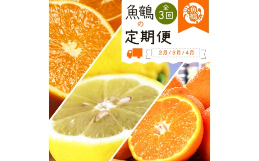 [定期便][2・3・4月 全3回]紀州和歌山産旬の柑橘セット(不知火・レモン・清見)