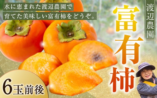 【先行予約】渡辺農園 富有柿 6玉前後 2025年11月中旬から12月上旬 出荷予定 1226114 - 福岡県うきは市