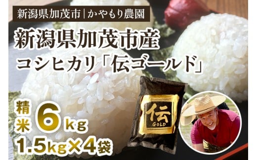 【令和7年産新米】新潟産コシヒカリ「伝ゴールド」白米真空パック 精米6kg（1.5kg×4）《9月下旬から順次出荷》 南麻布の高級料亭で提供される極上米 かやもり農園 2296816 - 新潟県加茂市
