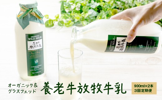 【定期便：全3回】オーガニック＆グラスフェッド養老牛放牧牛乳900ml×2本 | グラスフェッド 牛乳 牛乳瓶 有機JAS認証 低温殺菌 乳製品 健康志向 安心 安全 栄養豊富 化学肥料不使用 輸入穀物不使用 お取り寄せ 北海道 中標津町 中標津【1300301】