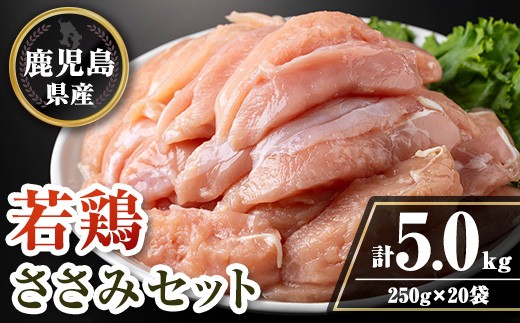 isa715 鹿児島県産若鶏ささみセット(計5kg・250g×20P) 鹿児島県産 国産 鶏肉 鳥肉 とり肉 ささみ ヘルシー ダイエット たんぱく質 タンパク質 小分け 真空 【TRINITY】 2316493 - 鹿児島県伊佐市