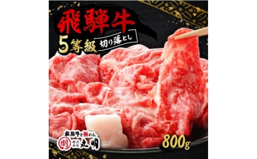 飛騨牛5等級　切り落とし用途いろいろ　800g【1668211】 2295882 - 岐阜県養老町
