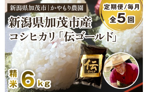 【令和7年産新米】【定期便5回毎月お届け】新潟産コシヒカリ「伝ゴールド」白米真空パック 精米 6kg（1.5kg×4）《9月下旬から順次出荷》 南麻布の高級料亭で提供される極上米 かやもり農園 2296818 - 新潟県加茂市