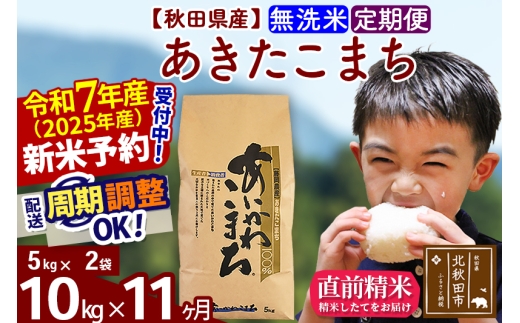 ※令和7年産 新米予約※《定期便11ヶ月》秋田県産 あきたこまち 10kg【無洗米】(5kg小分け袋) 2025年産 お届け時期選べる お届け周期調整可能 隔月に調整OK お米 藤岡農産